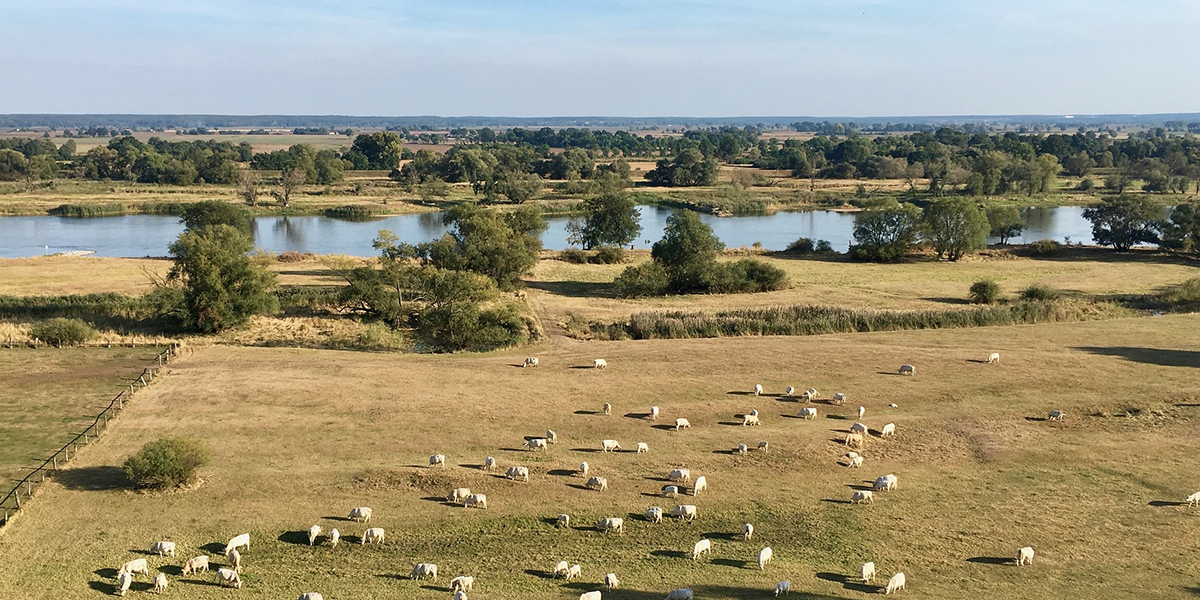 Region Lebus (Polen)