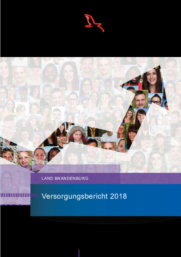 Bild vergrößern (Bild: Versorgungsbericht 2018)
